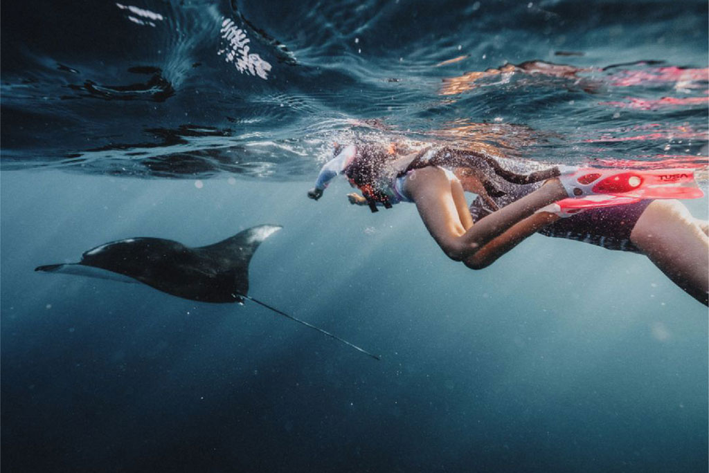 Snorkeling in Nusa Lembongan: A Calm Guide to Reefs, Mantas, and Marine Adventures